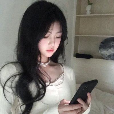 燕子盗