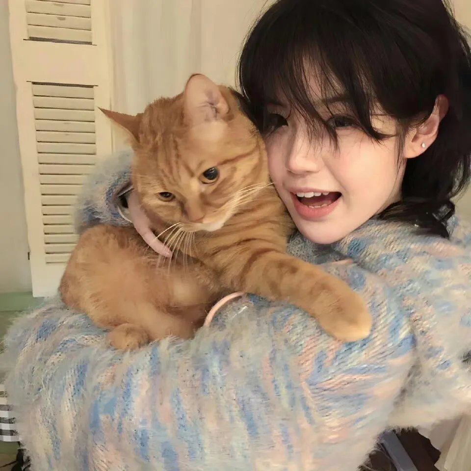 隆美尔宝藏